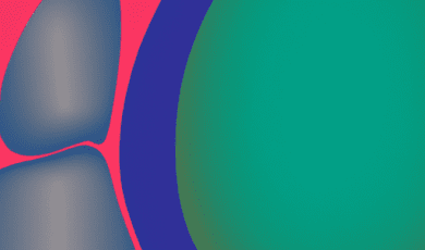 Traduction de document officiel en contexte politique : lois, accords et discours